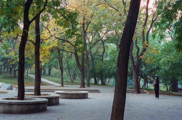 Découvertes Révolutionnaires : Innover la Réhabilitation Cardiaque Moderne