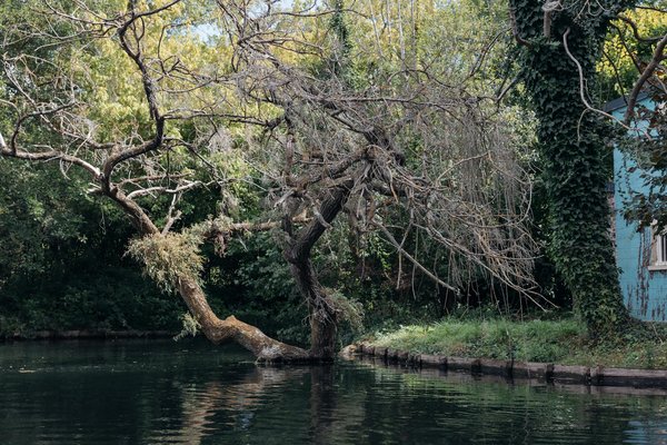 Fibromyalgie et santé mentale : Décrypter les répercussions psychologiques